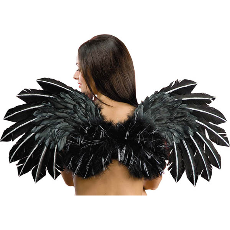 Ailes plumes noires