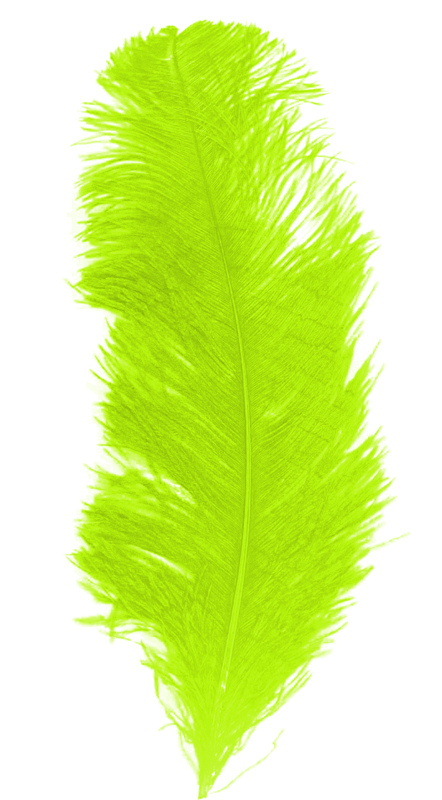 Plume autruche env 28/32 cm anis