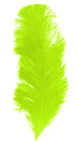 Plume autruche env 28/32 cm anis